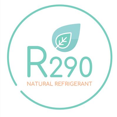 R290 Logo W